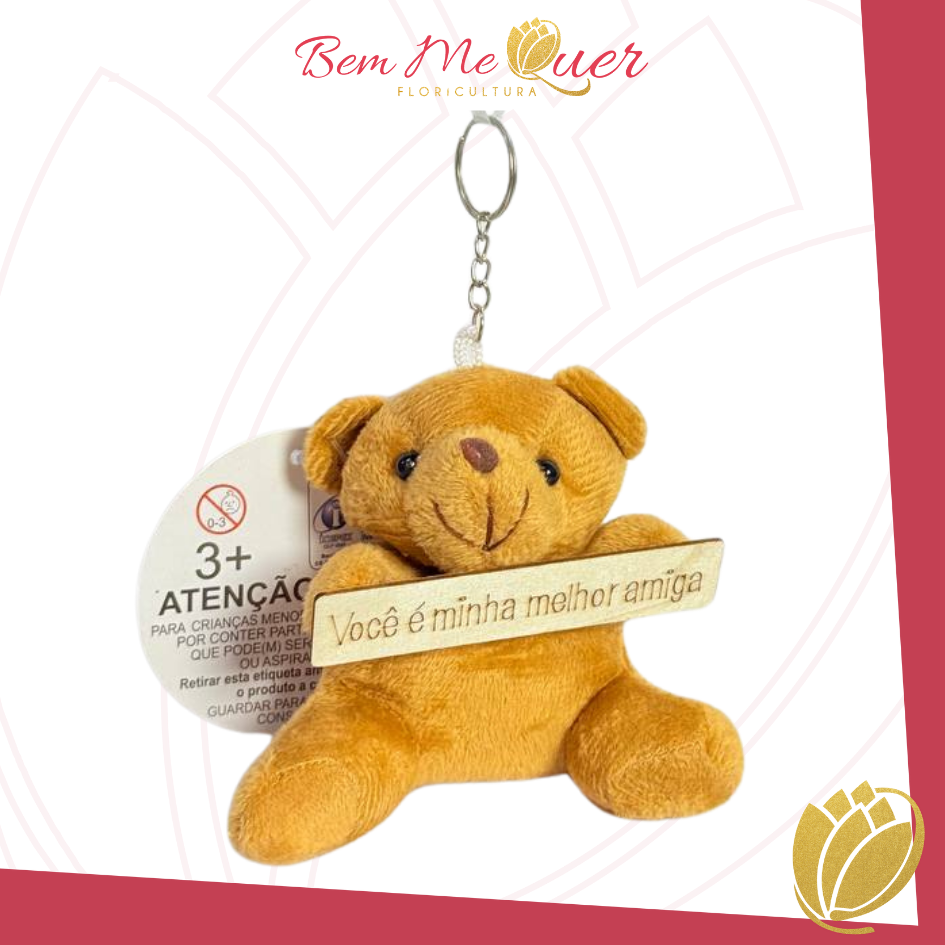Urso agarradinho com placa VOC  MINHA MELHOR AMIGA