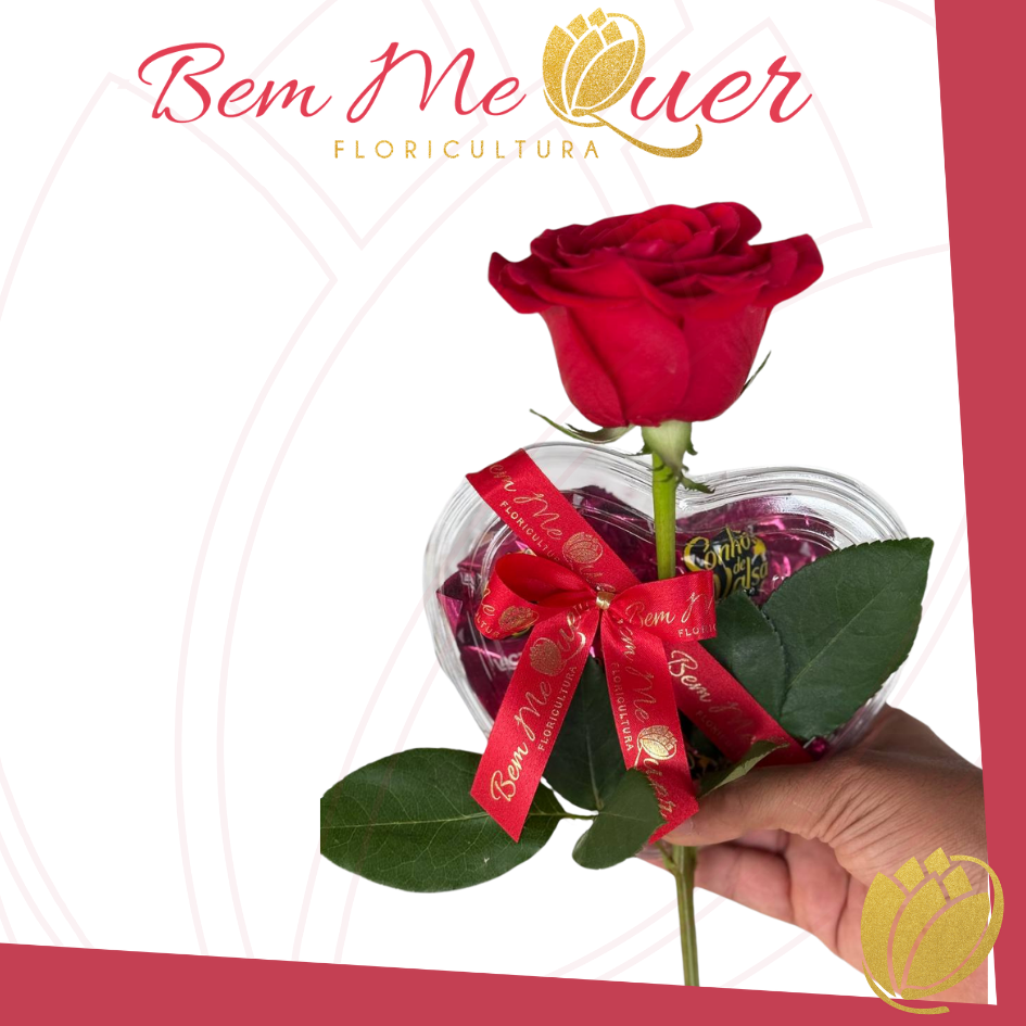 1 Rosa Natural e Corao de Chocolate Sonho de Valsa